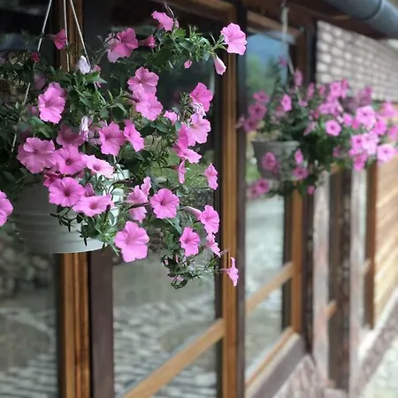 Dachna Pb Inn Migovo